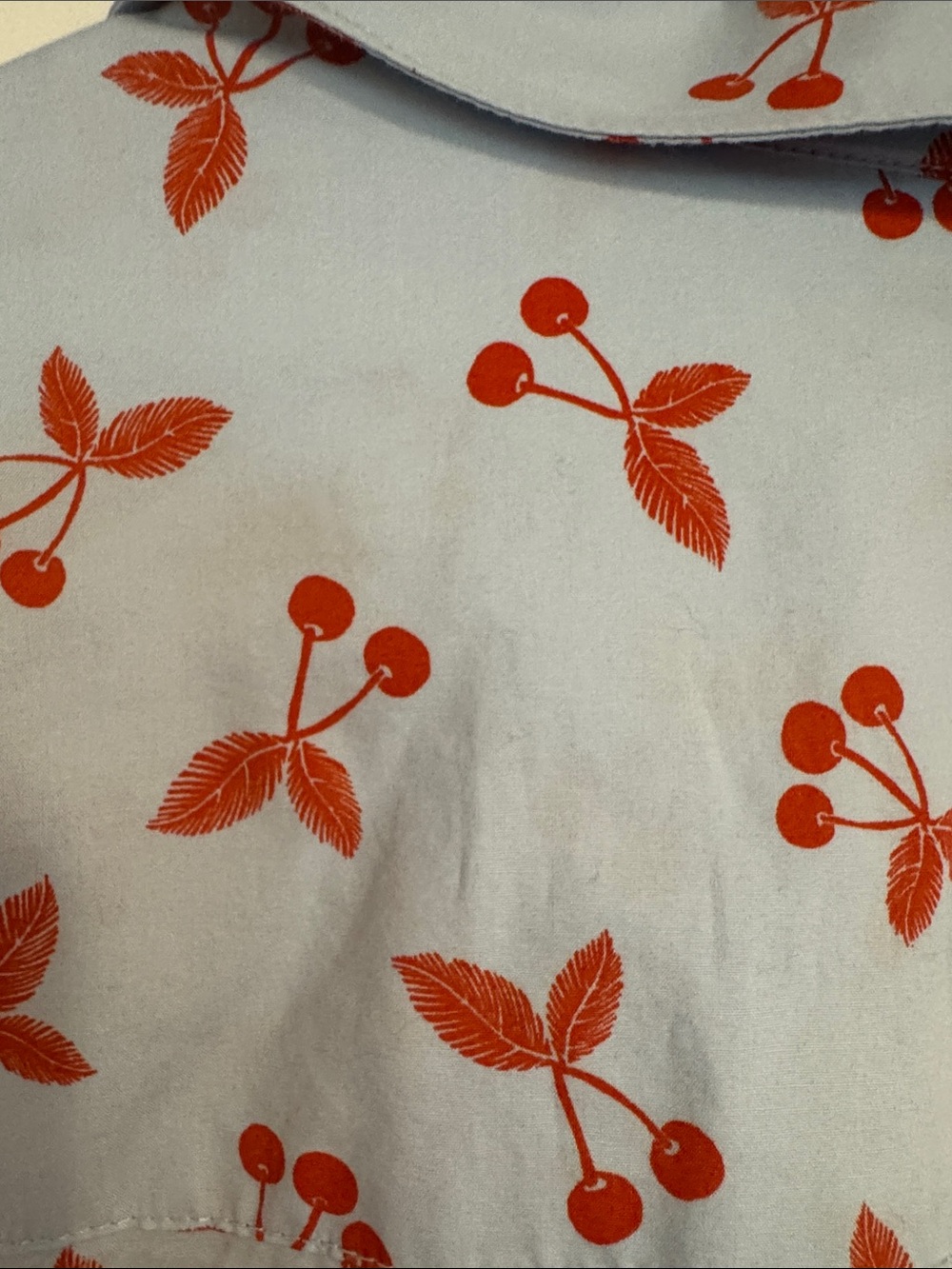 Boden Pale Blue Classic Button-Up Shirt with Red Cherry Motif - Picture 4 of 4